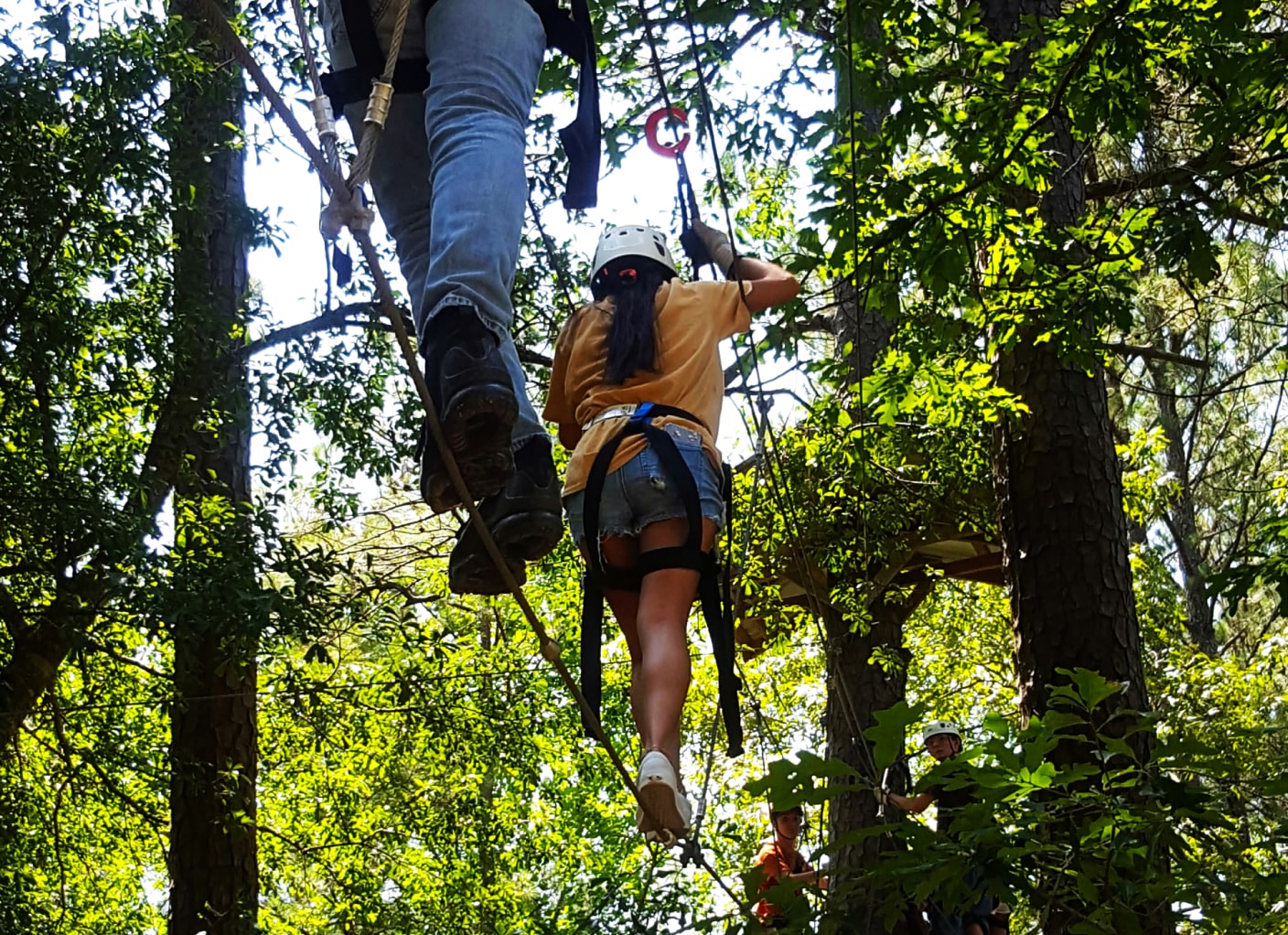 aerial adventure park through treetops in alabama